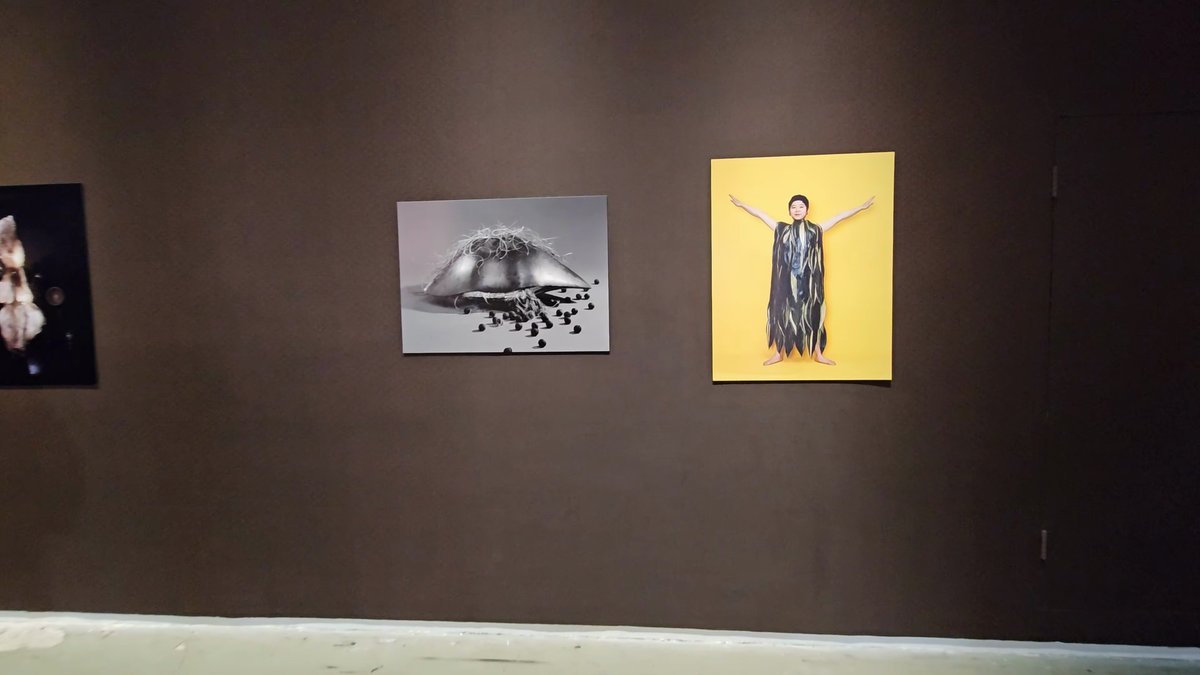 Large photographs on brown gallery wall