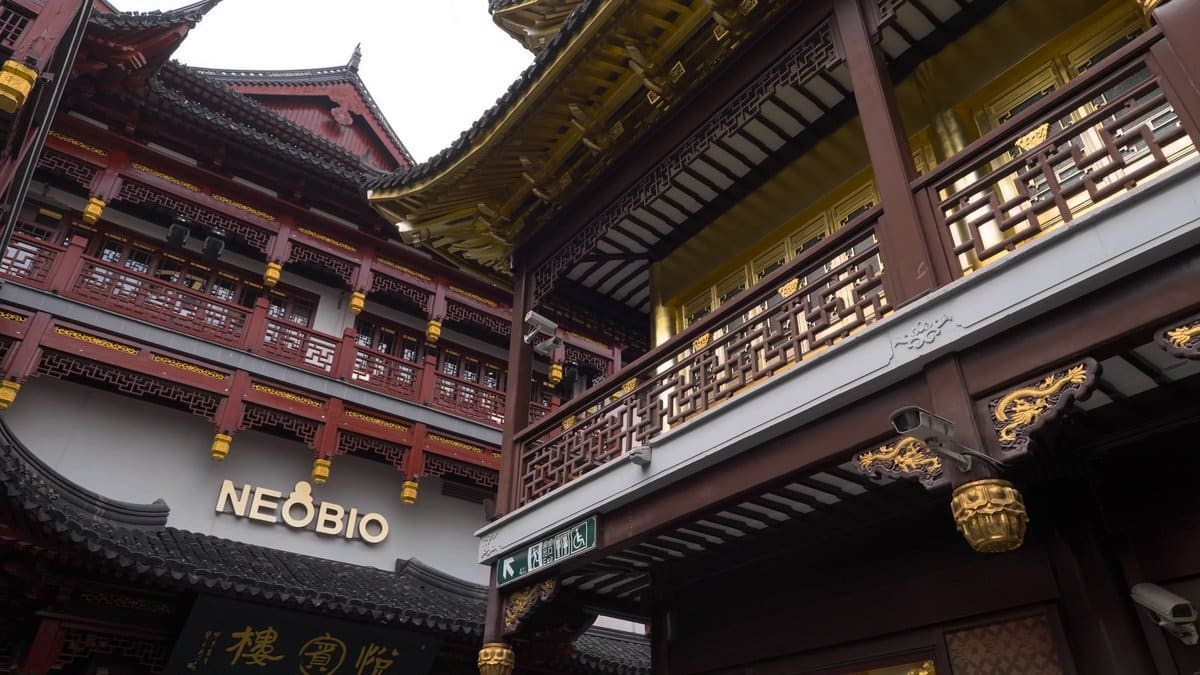 Looking up at layered traditional eaves with a