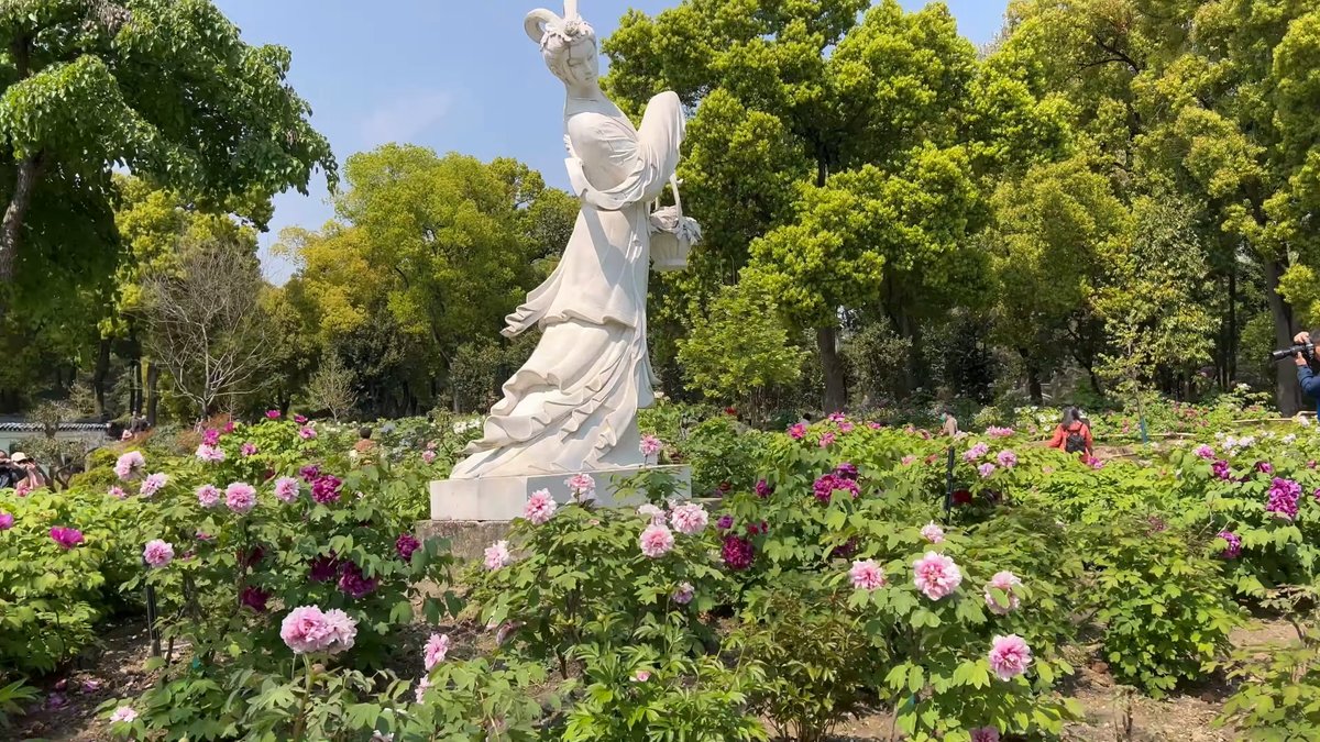 Marble statue among peony beds