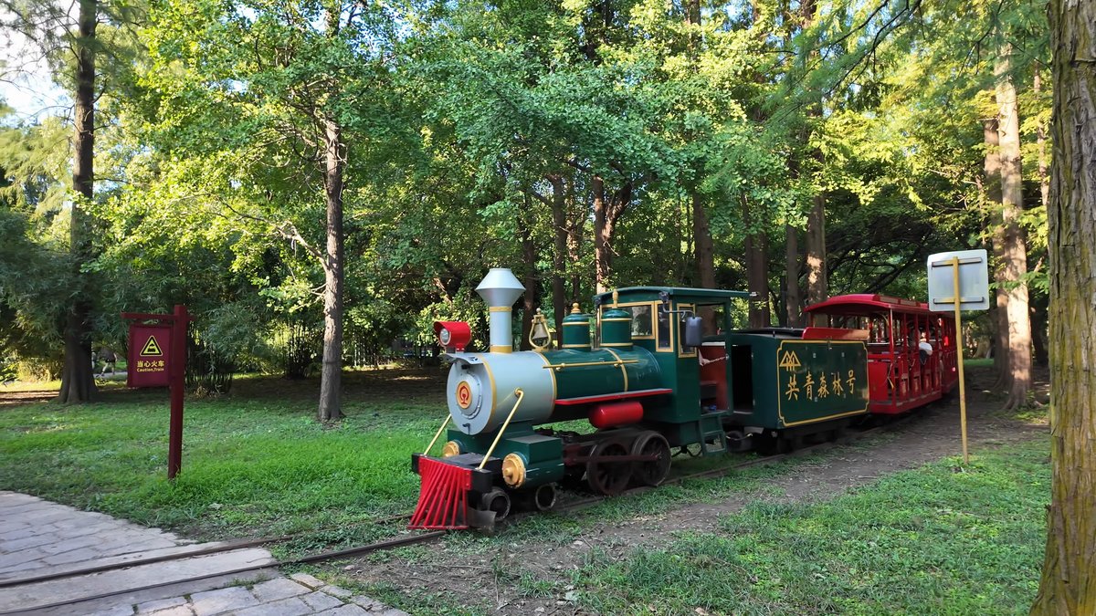 Miniature train winding through the woods