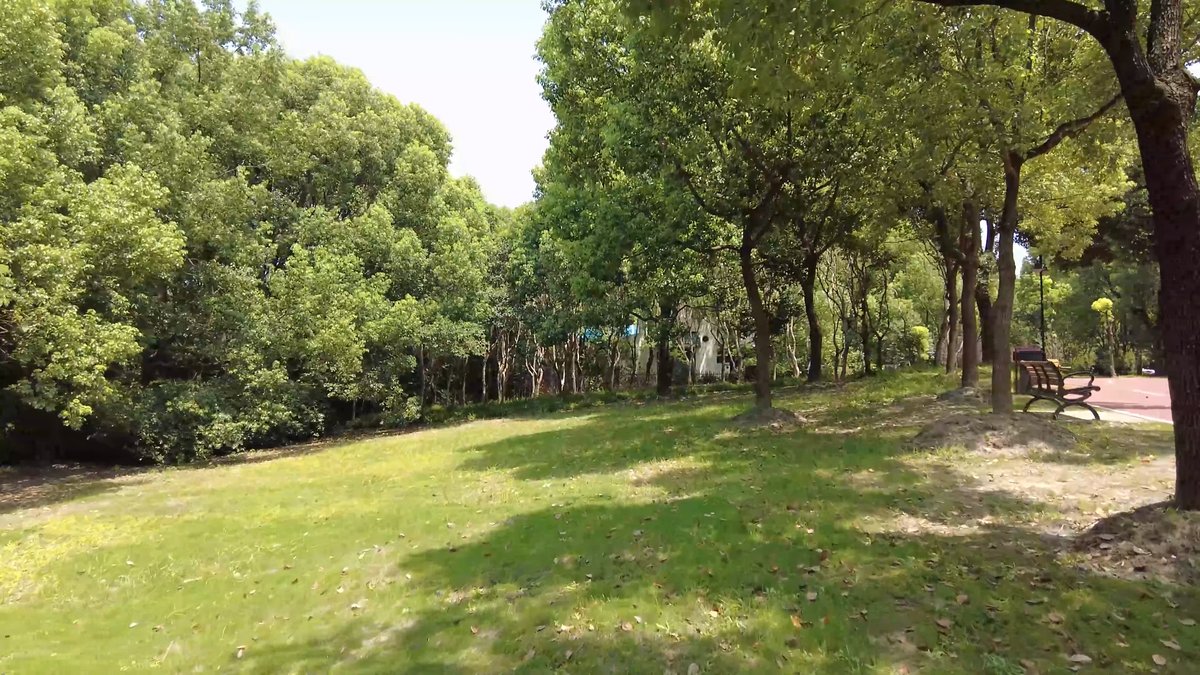 Open lawn under scattered trees with benches at