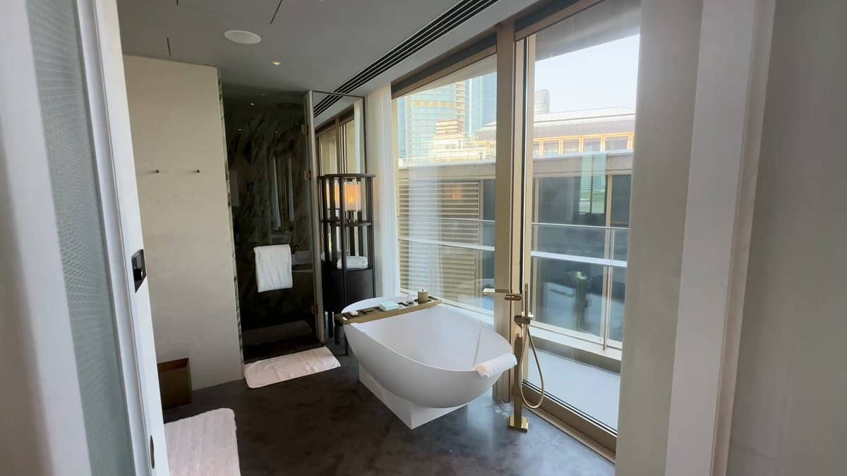 Oval tub beside the window