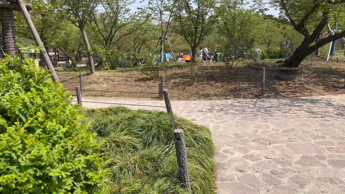Path edged with ornamental grasses