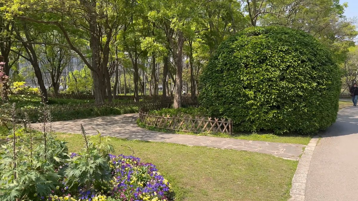 Path past clipped box hedge