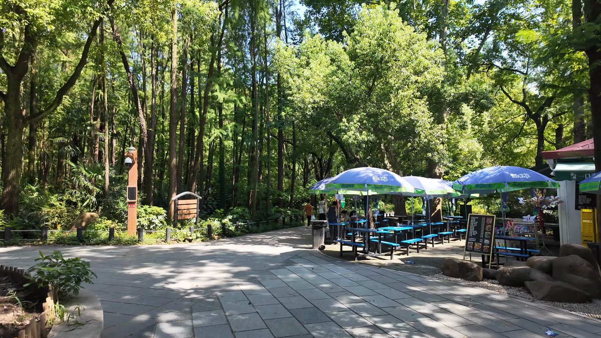 Picnic tables under blue parasols