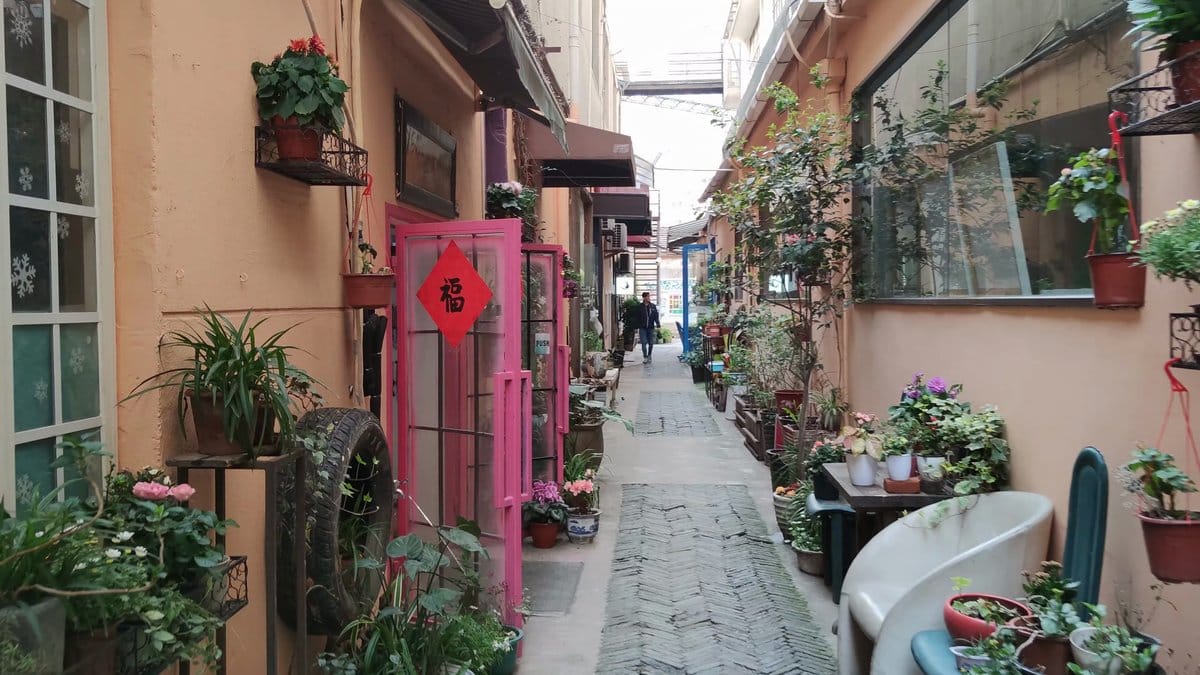 Plant-hung lane in pink and green