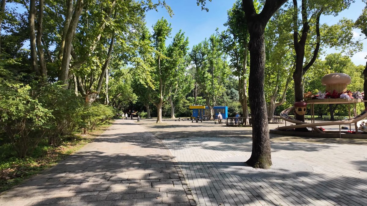 Play equipment under large park trees