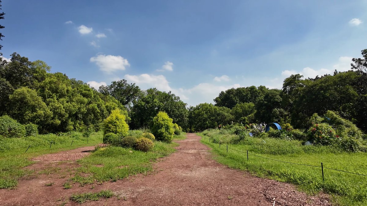 Red earth track under bright sky