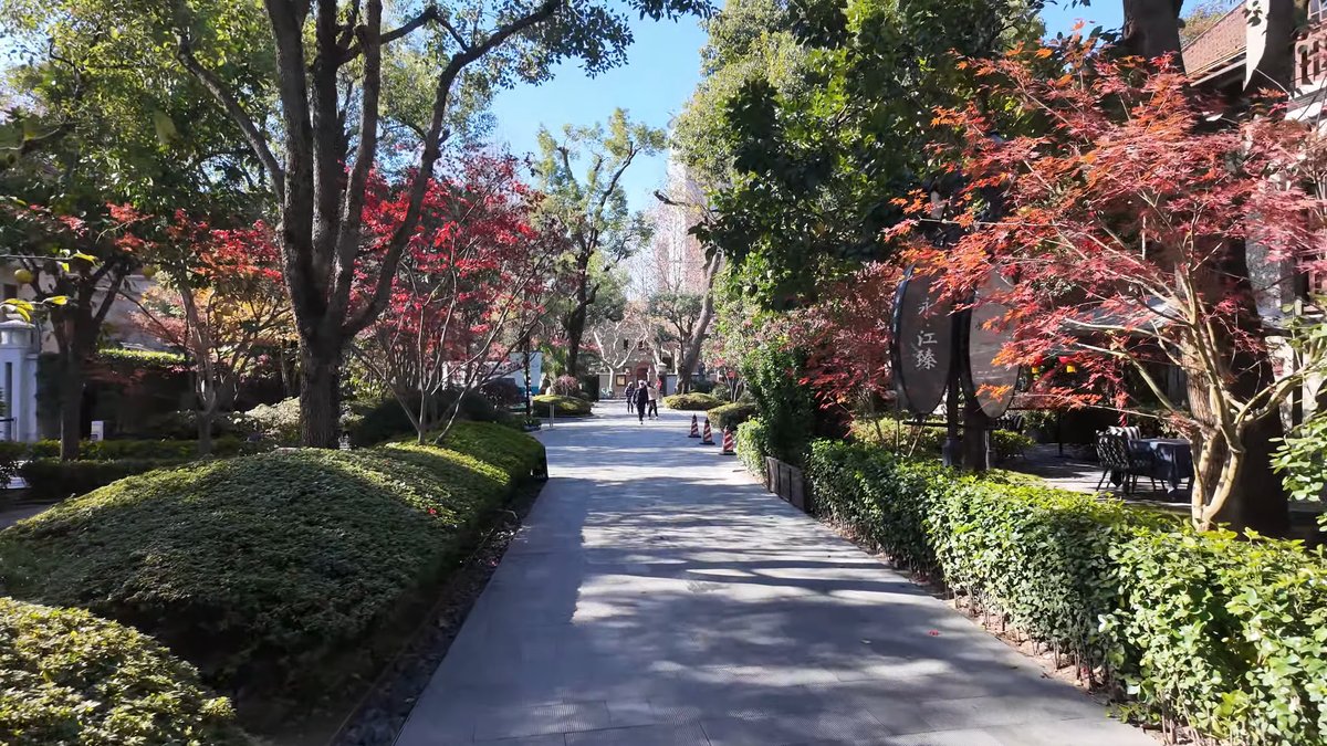 Red-leaved tree over garden path