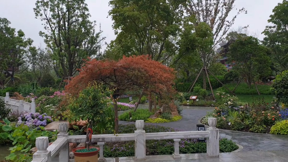 Red maple beside a stone balustrade