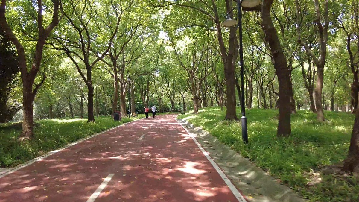 Red running track through park