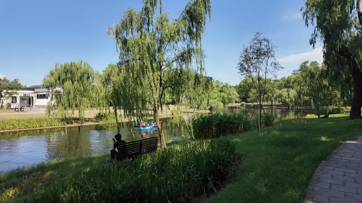 Reedy pond with a waterside bench