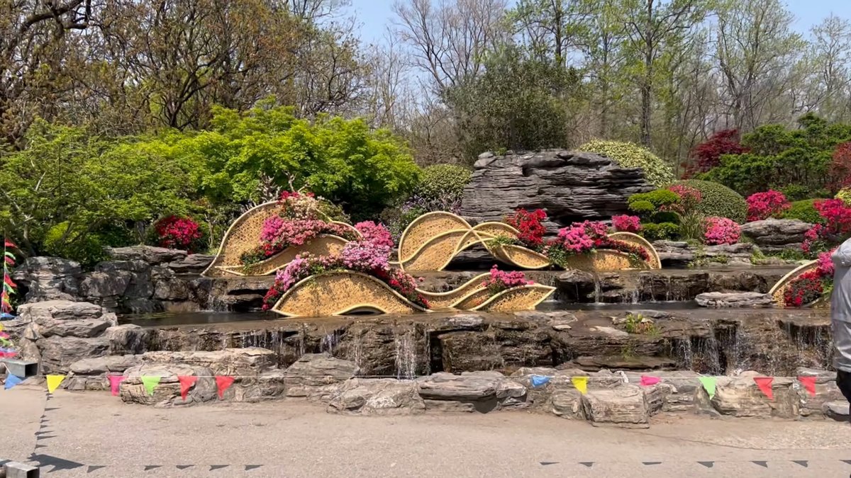 Rock garden with timber panels