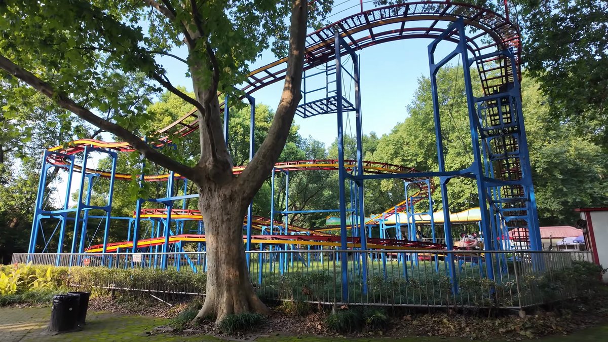 Roller coaster rising above the trees