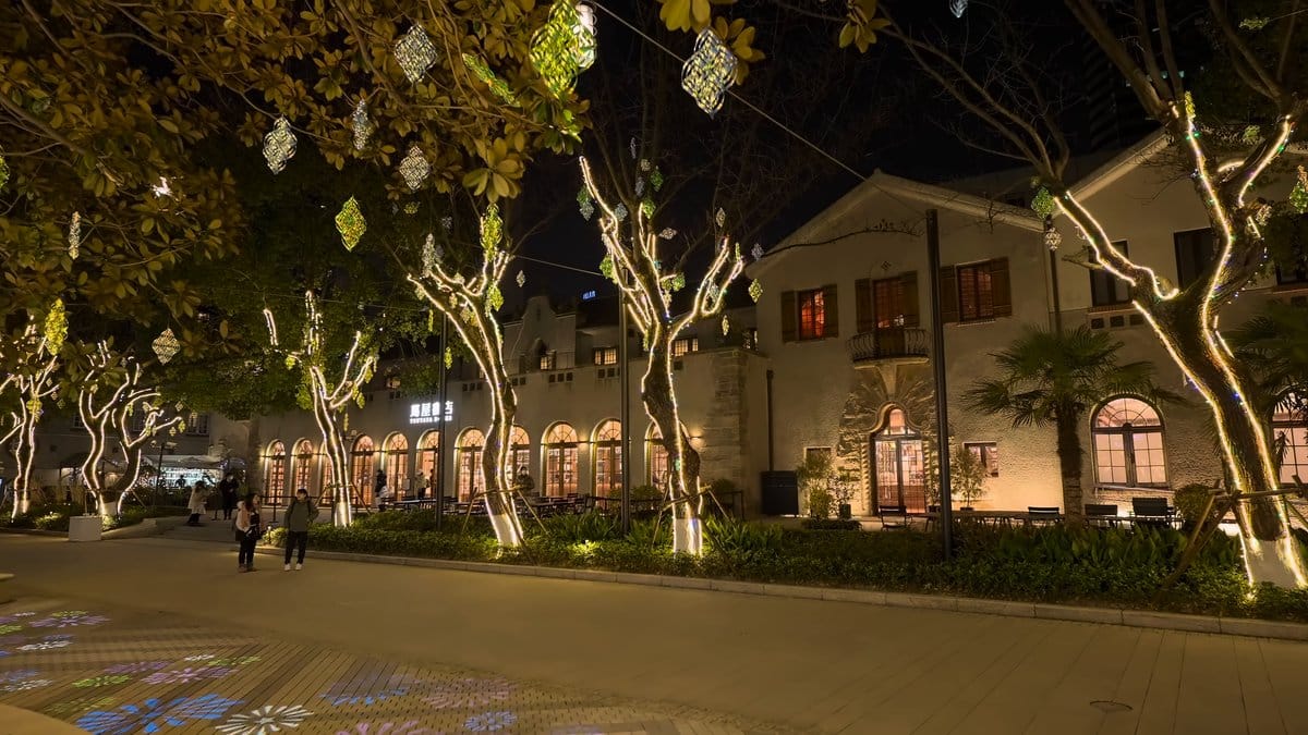 Shopfronts glowing behind lit trees