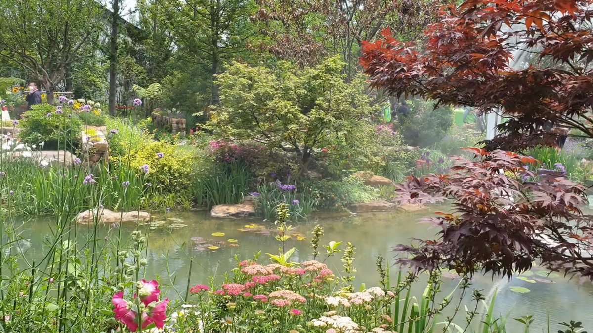 Show garden pond at flower expo