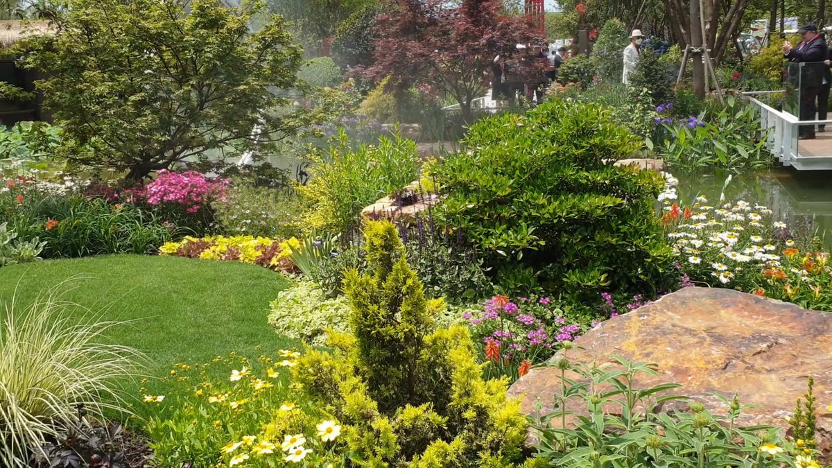 Shrub beds among boulders and conifers