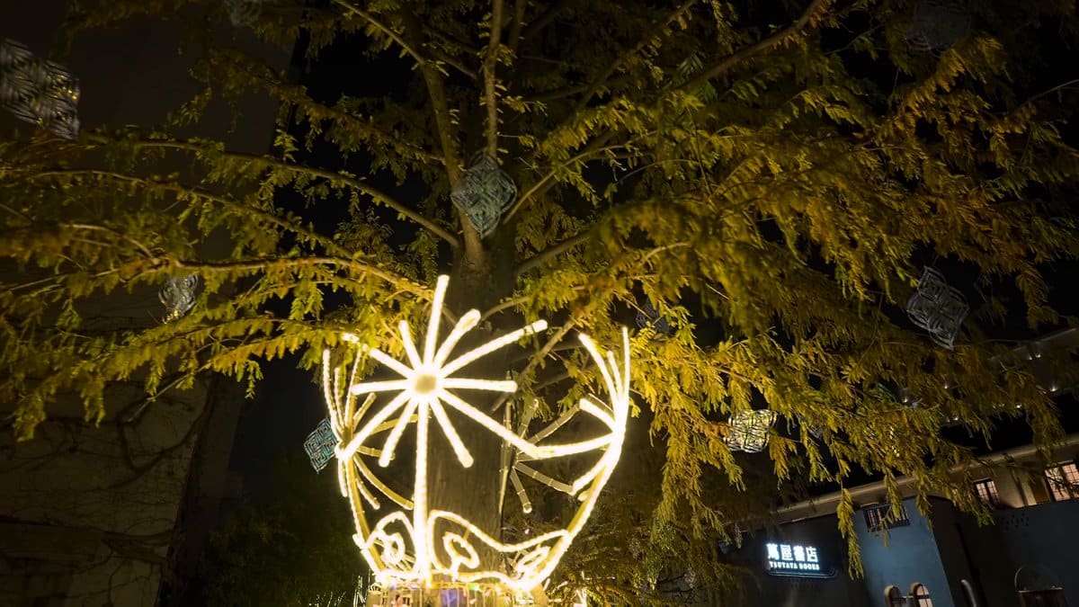 Starburst seen through ginkgo branches