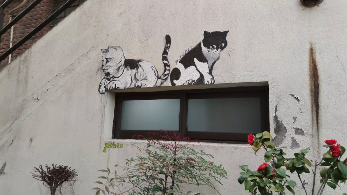 Stencilled cats and face mural