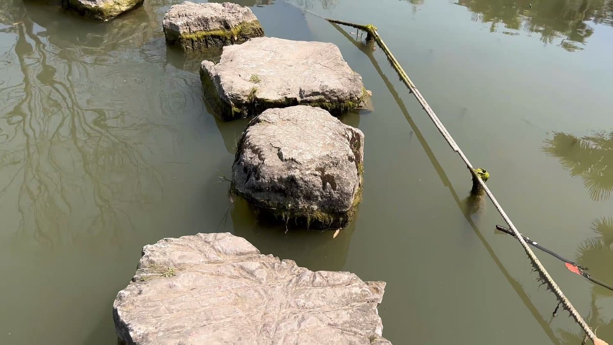 Stepping stones across green water