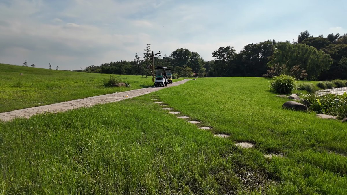 Stepping stones set into a grassy slope, a