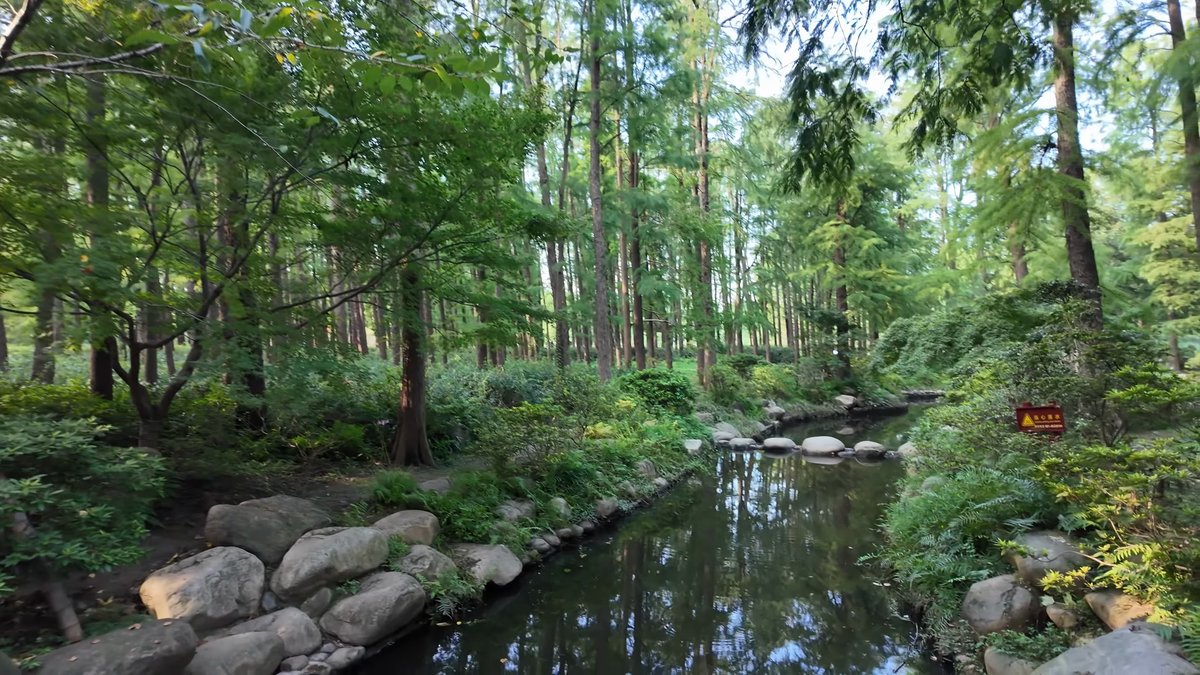 Still forest pool edged with boulders