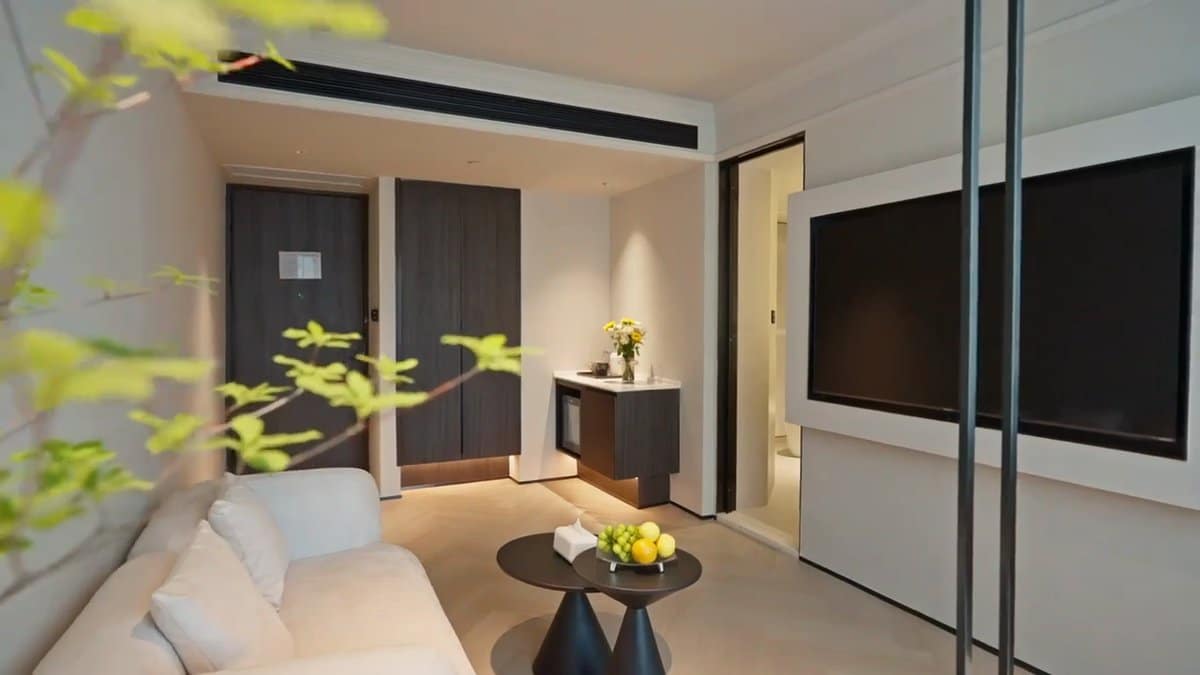 Suite living room sofa