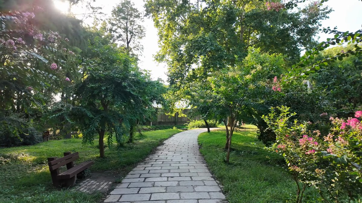 Sun-flared path through a flower garden