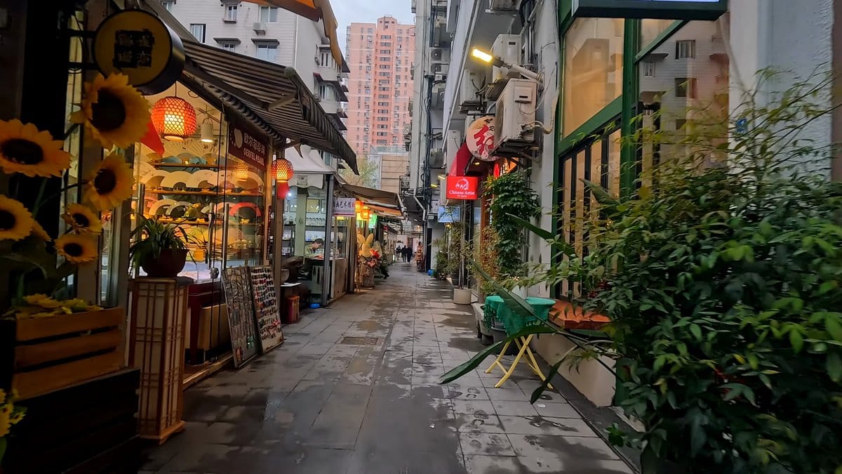 Sunflower café with timber benches