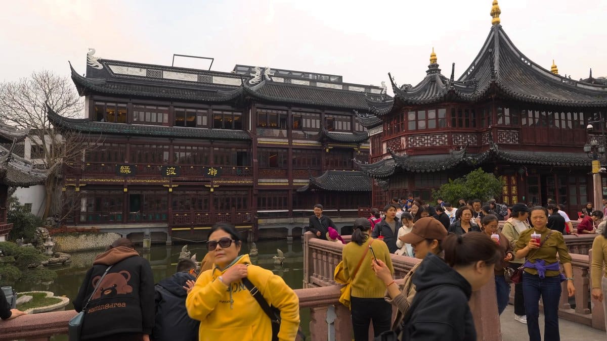 Teahouse pavilions rising from the pond