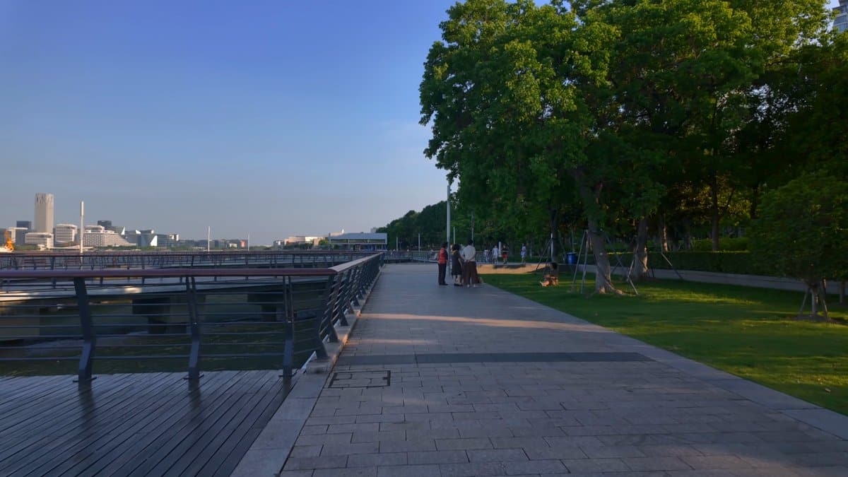 The boardwalk with trees and grass on one