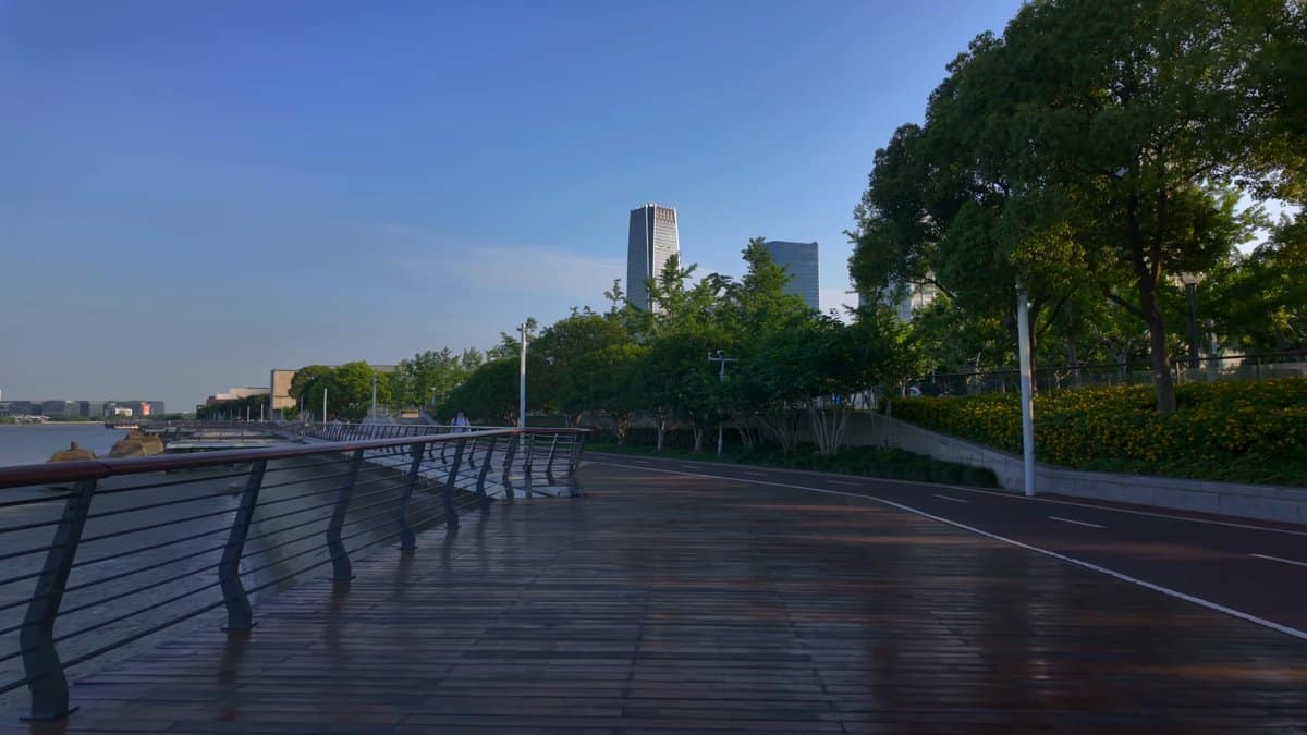 The deck with a bench and trees, buildings