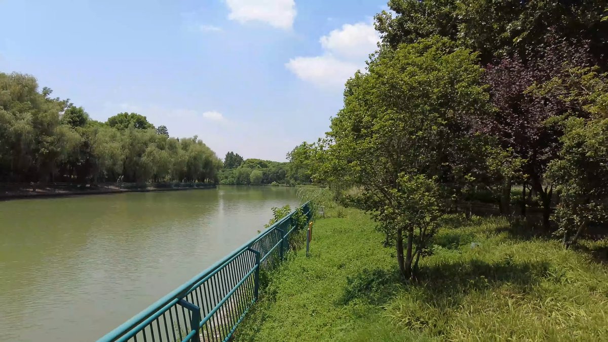The lake edge with blue railings, a grassy