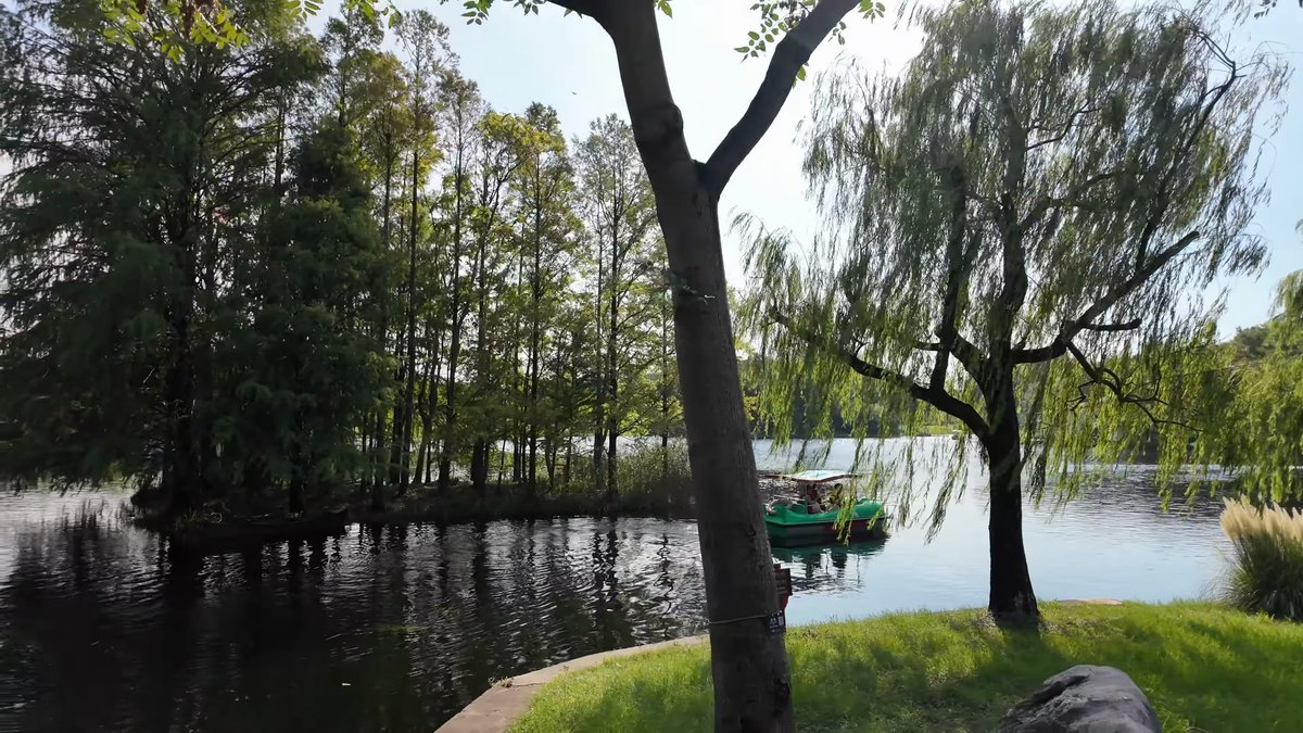 The lake through the willows, a small boat