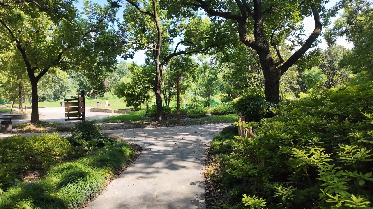 The path curving past clipped hedges with open