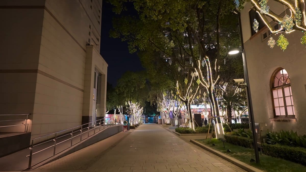 The ramp beside the building, the lit trees