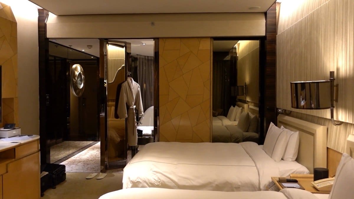 The room from the far side, a robe