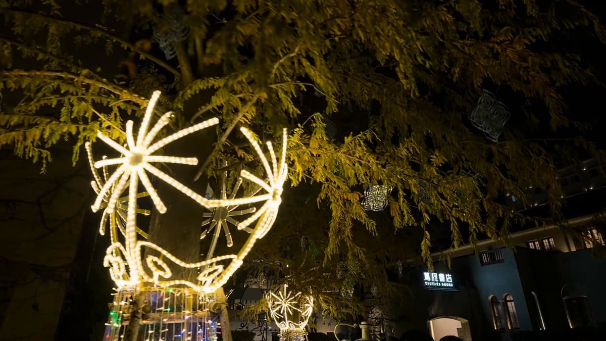 The starburst from the other side, its spokes