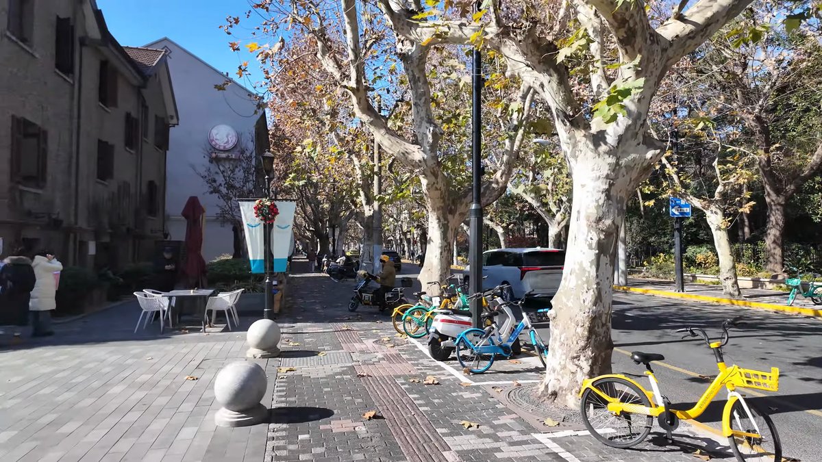 The street with shared bicycles parked along the