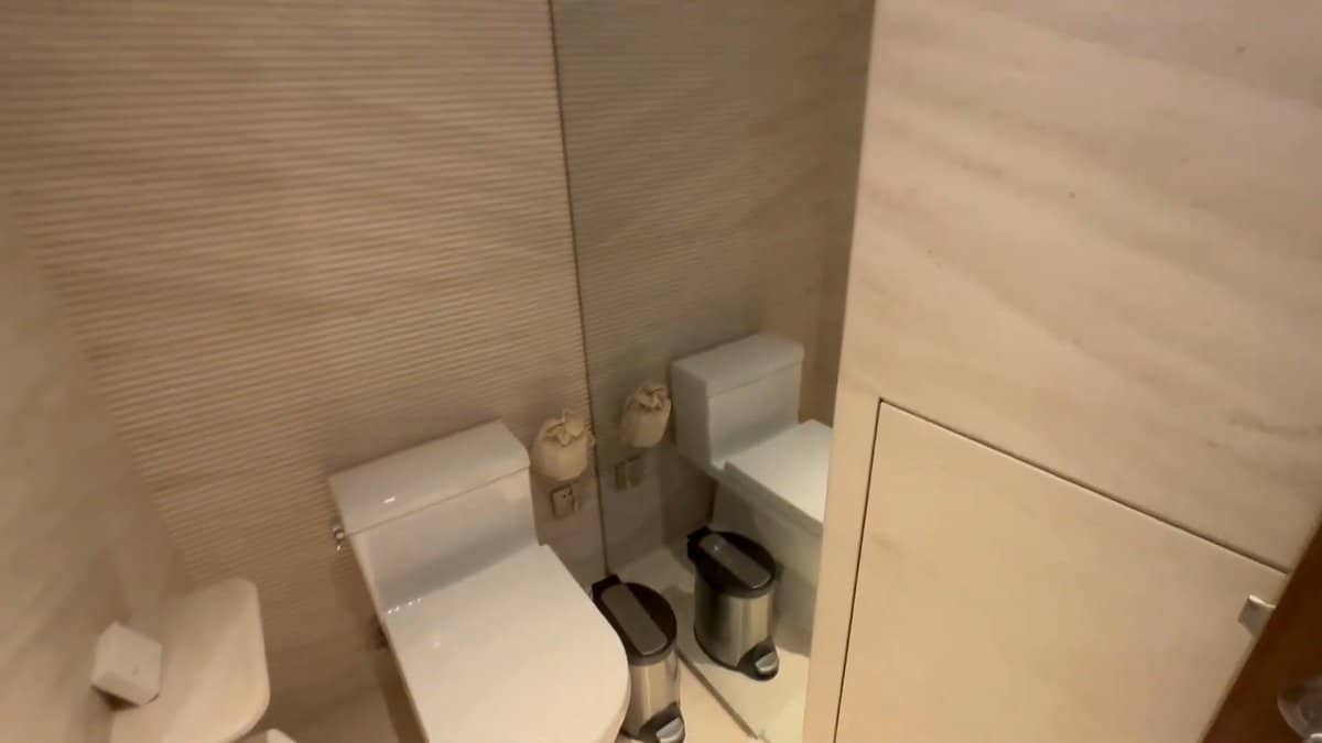 The toilet in its stone-lined compartment with a