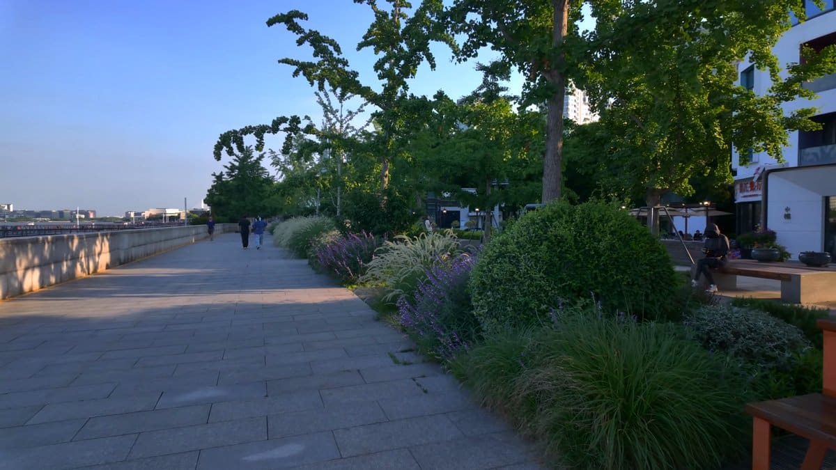 The walkway between shrub beds with a building