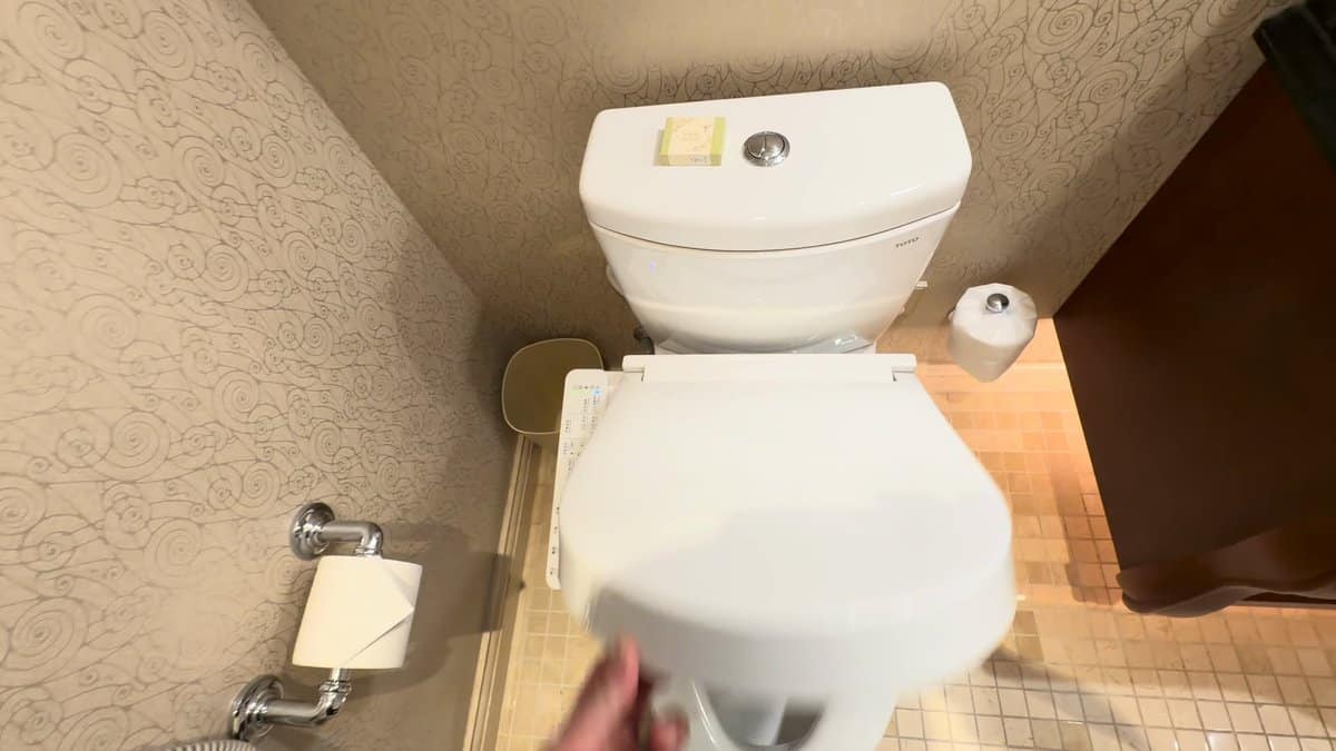 The washlet again with the lid lifted by