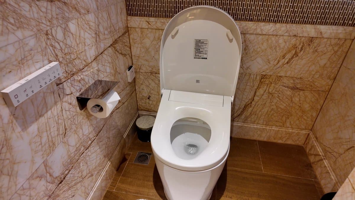The washlet with the lid raised, its control