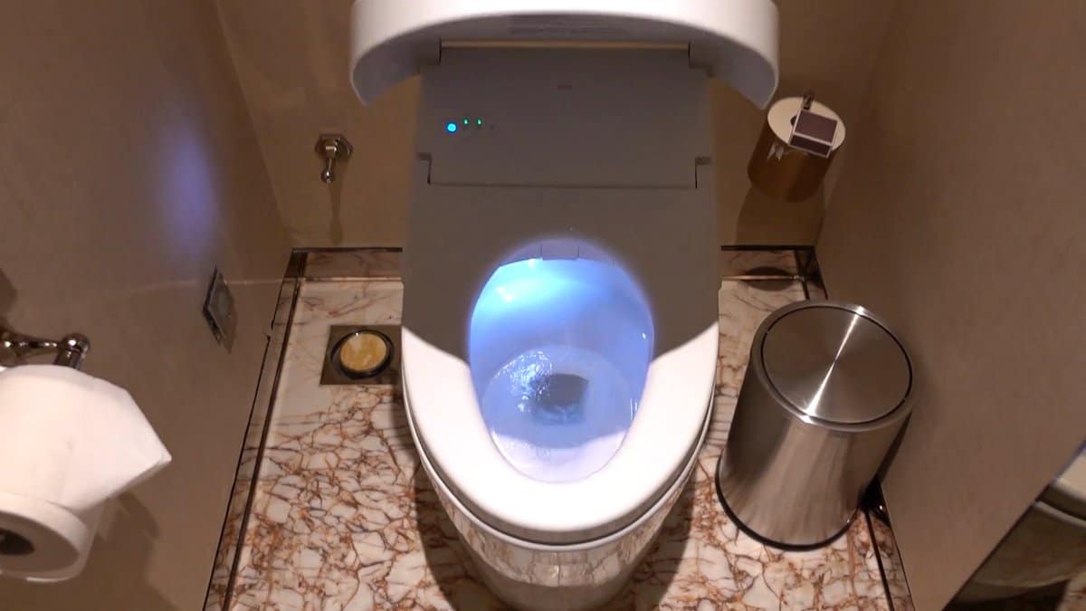 The washlet with the lid raised, the bowl