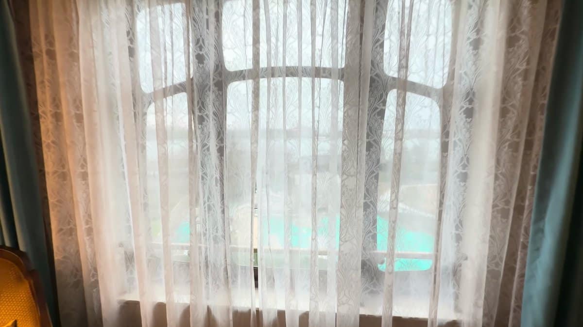 The window behind its sheer curtain, the pale