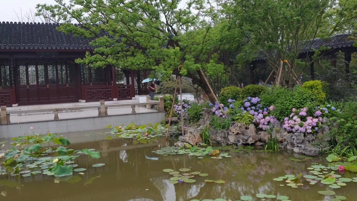 Timber gallery along the lotus pond