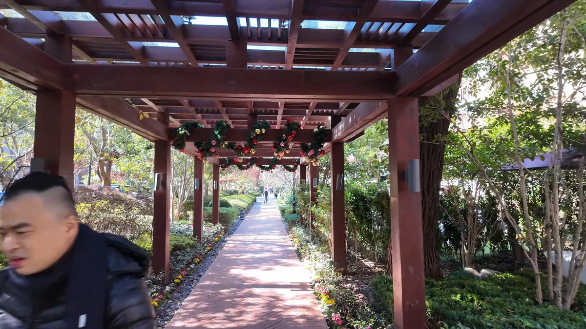Timber pergola over brick path