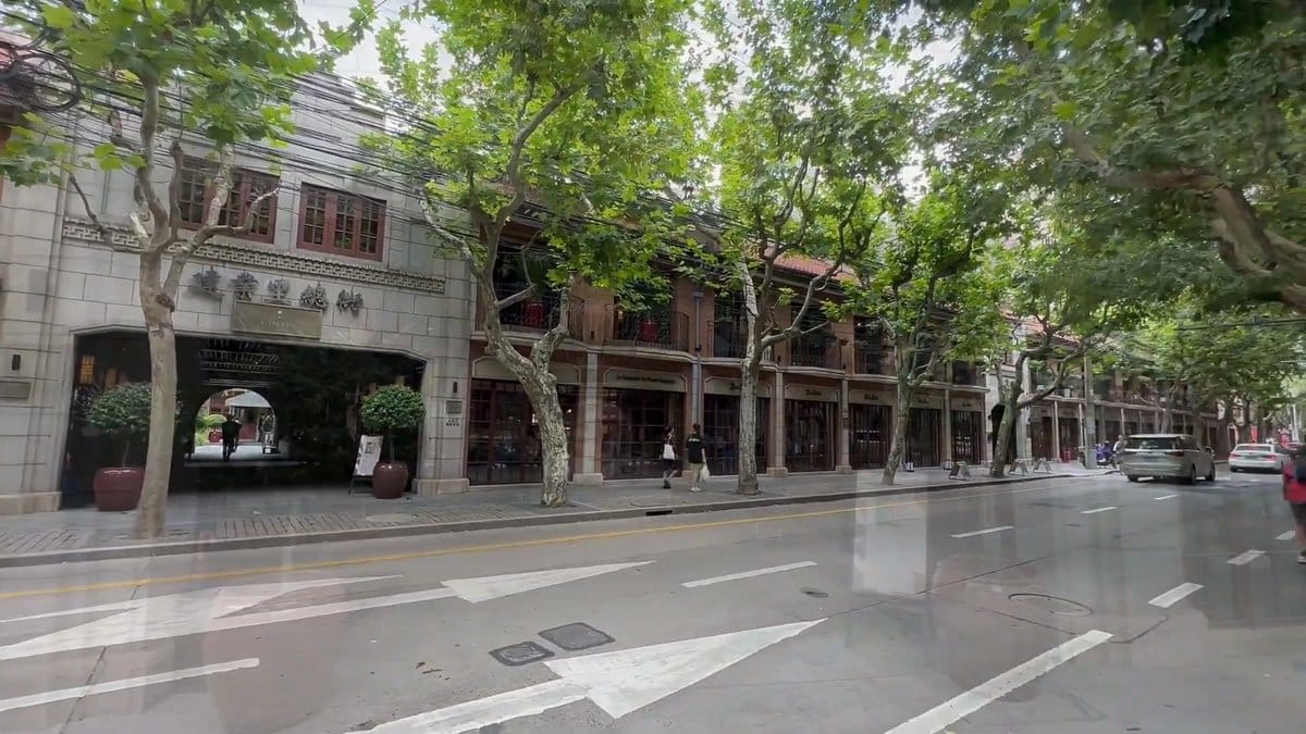 Tree-lined street along the terrace