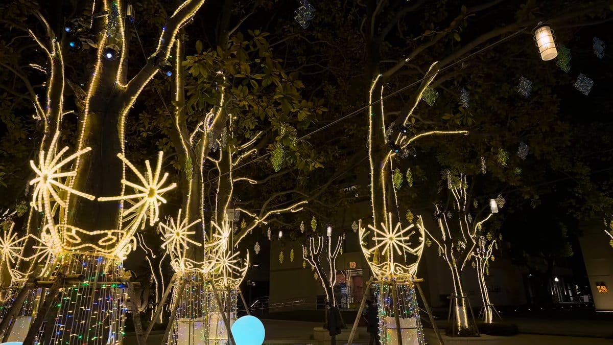 Trees strung with white lights and crowned with