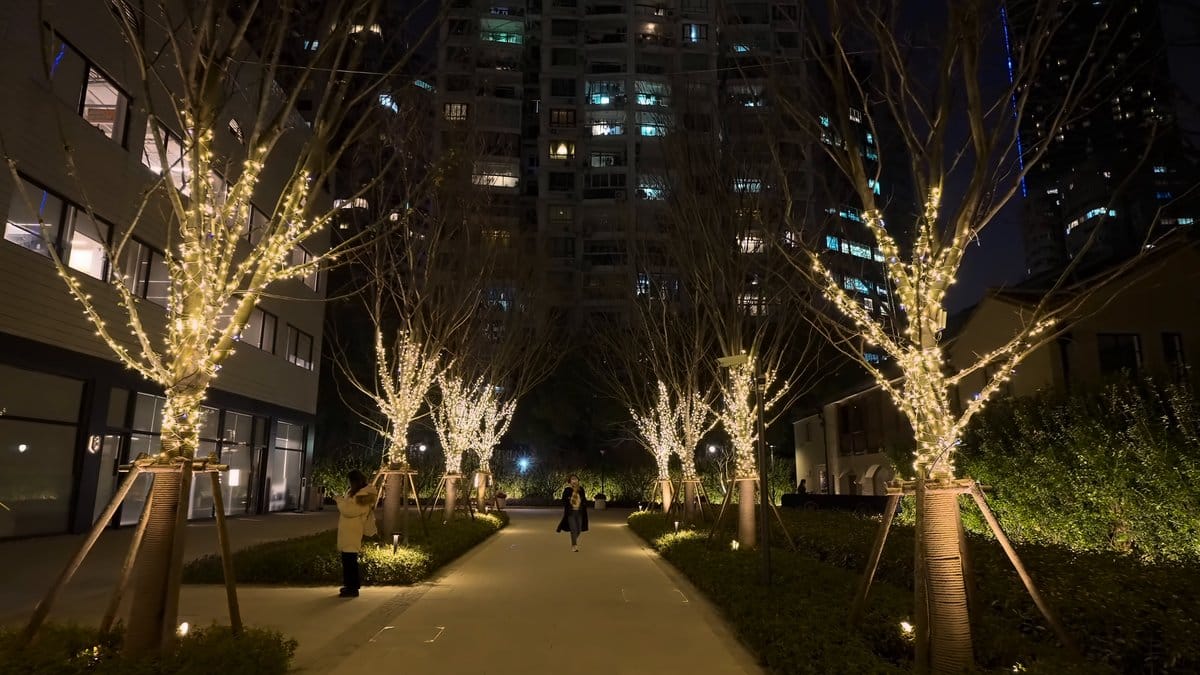 Trees wrapped in lights along a walkway, figures